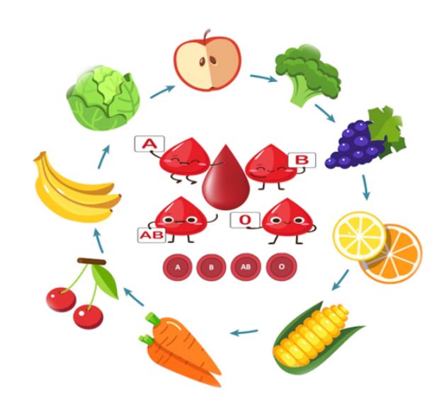 blood type diet