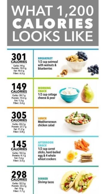 1200 calorie meal plan