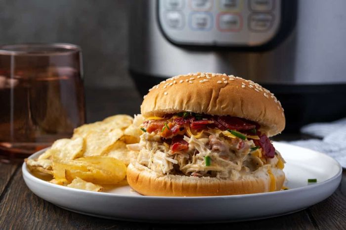 instant-pot-crack-chicken-171