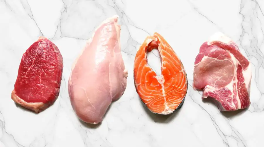 Animal-Based Diet Foods: A Complete Guide for Better Health